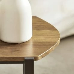 SoBuy Industrial Vintage Style 2 Tiers Coffee Table Sofa Table Side Table,FBT90-N -SOBUY Shop 58494794 4